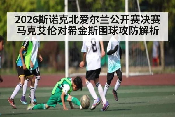 2026斯诺克北爱尔兰公开赛决赛 马克艾伦对希金斯围球攻防解析
